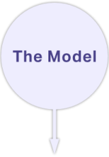 The Model